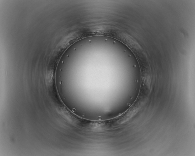 X0000115740660200911121538