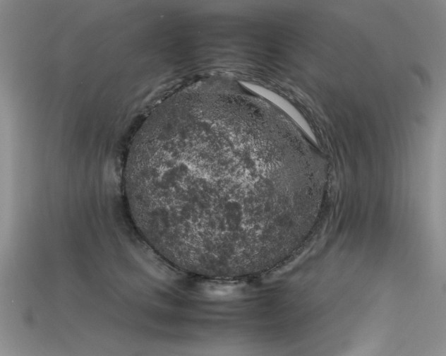 X0000115740661200911121538