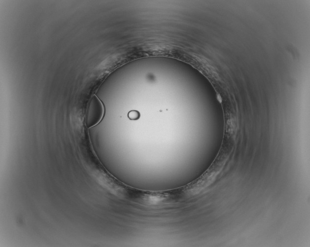 X0000115740662200911121538