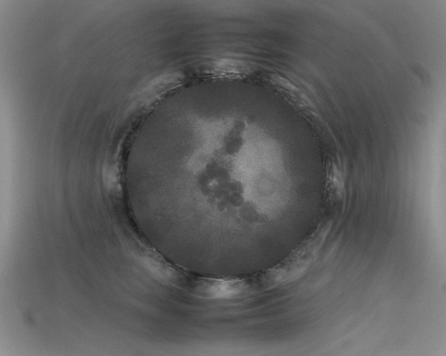 X0000115740663200911121538