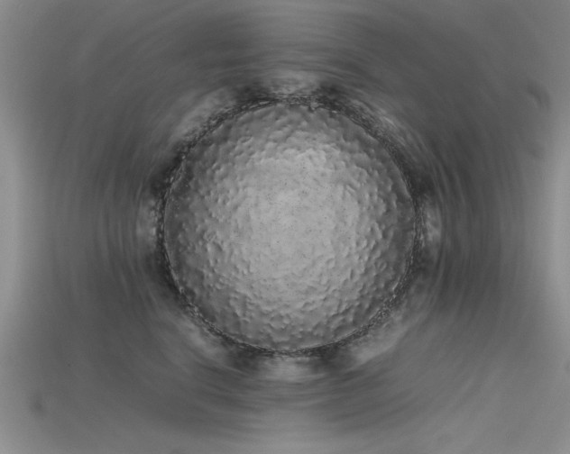 X0000115740664200911121538