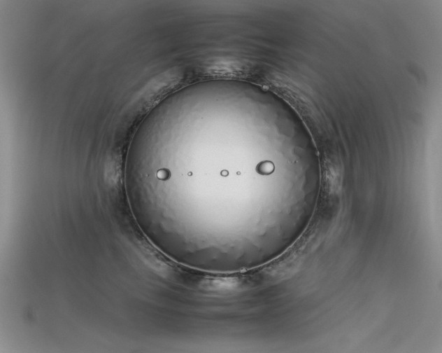 X0000115740665200911121538