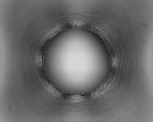 X0000115740666200911121538