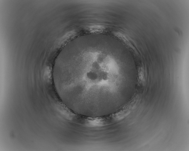 X0000115740667200911121538