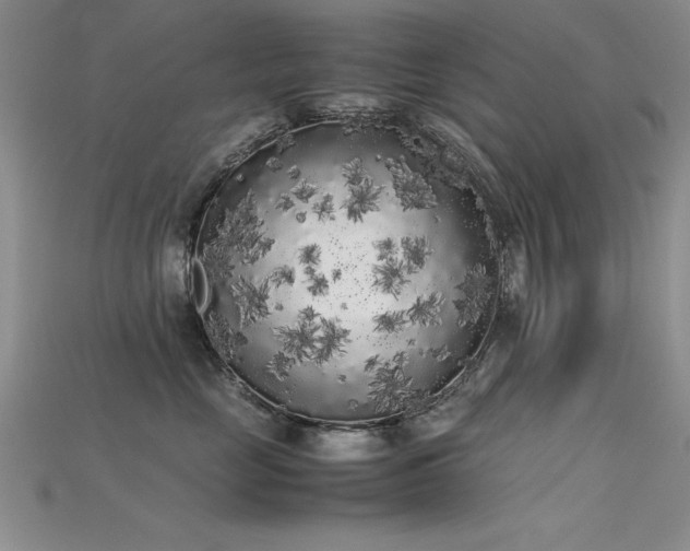 X0000115740669200911121538