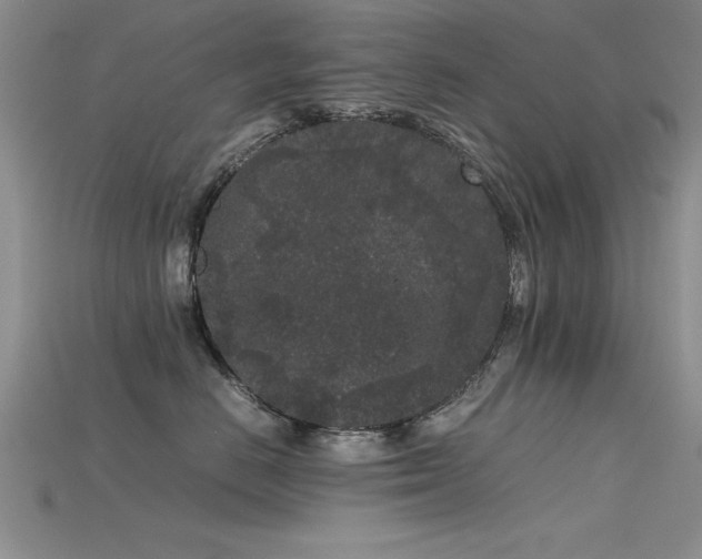 X0000115740670200911121538