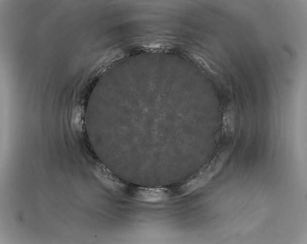 X0000115740671200911121538