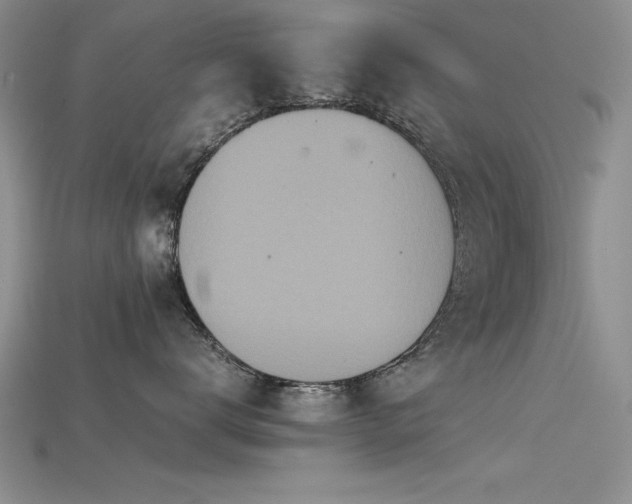 X0000115740672200911121538