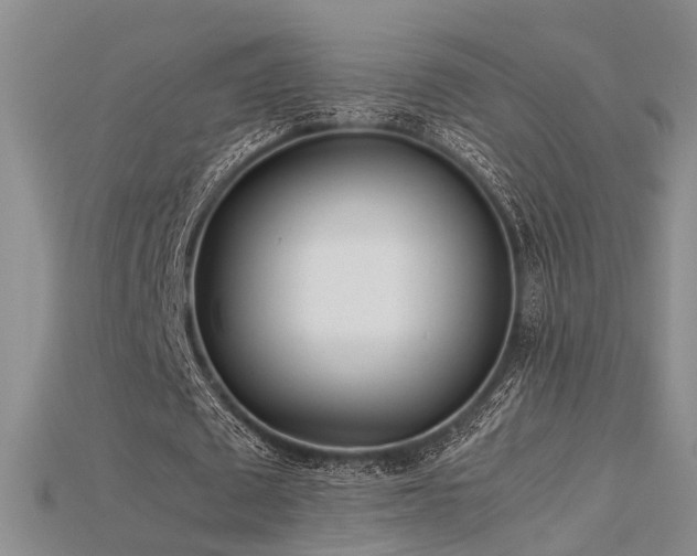 X0000115740673200911121538