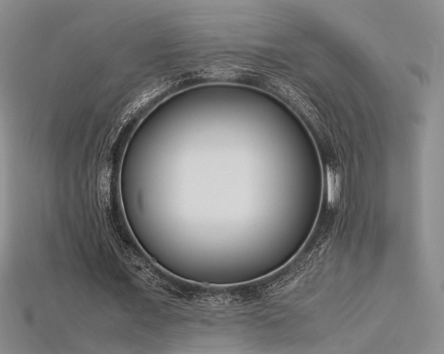 X0000115740675200911121538