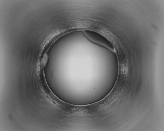 X0000115740676200911121538