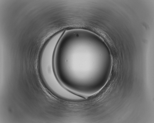 X0000115740677200911121538