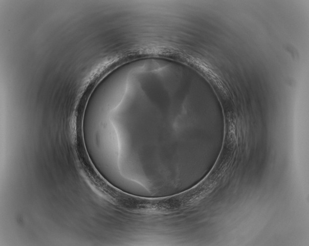 X0000115740678200911121538