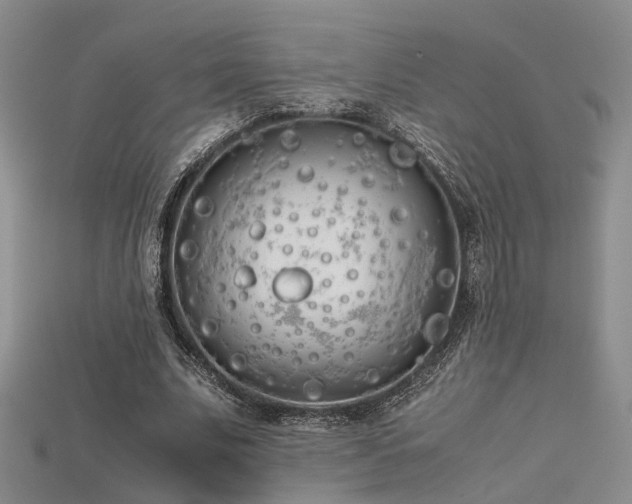 X0000115740679200911121538