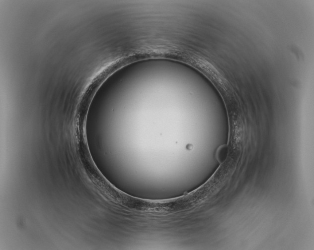 X0000115740680200911121538