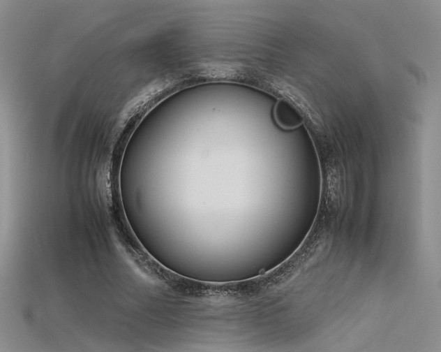 X0000115740682200911121538