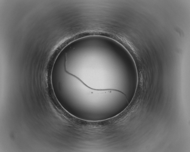 X0000115740684200911121538