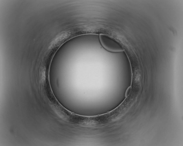 X0000115740685200911121538