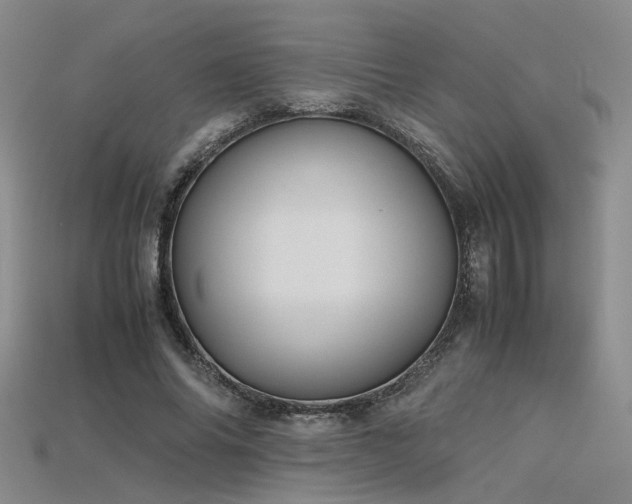 X0000115740686200911121538