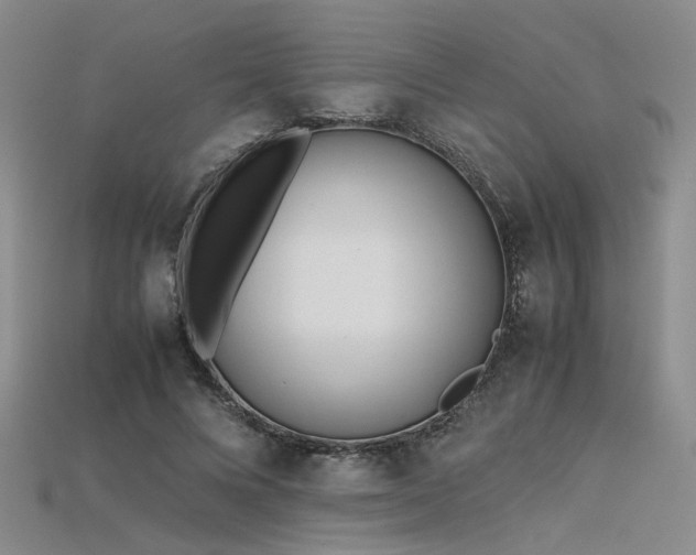 X0000115740688200911121538