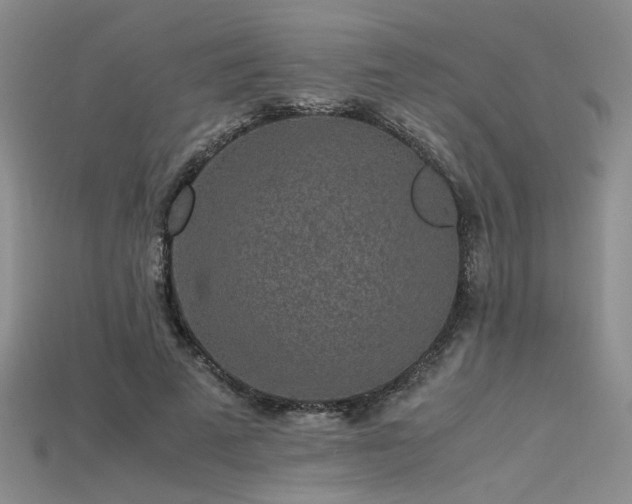 X0000115740689200911121538