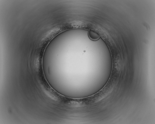 X0000115740690200911121538