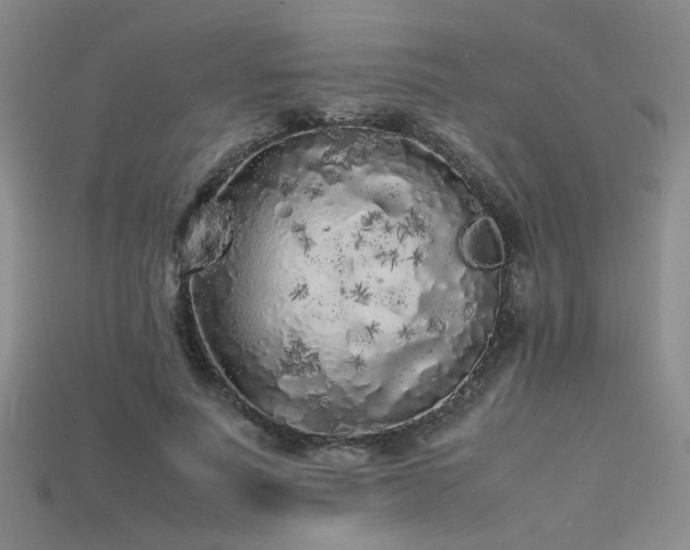 X0000115740691200911121538