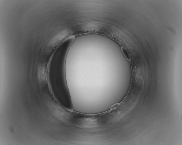 X0000115740692200911121538