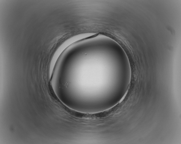 X0000115740693200911121537