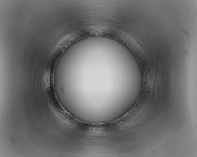 X0000115740694200911121537
