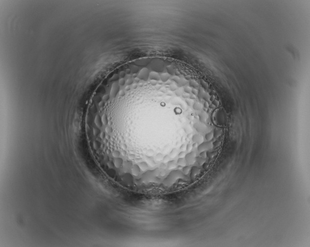 X0000115740695200911121537