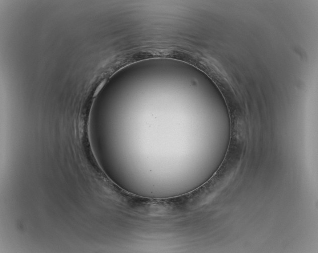 X0000115740697200911121537