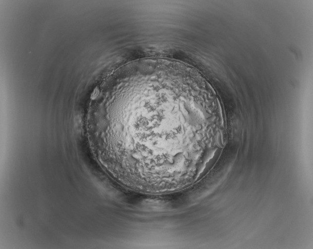 X0000115740699200911121537