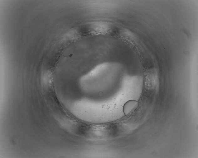 X0000115740701200911121537