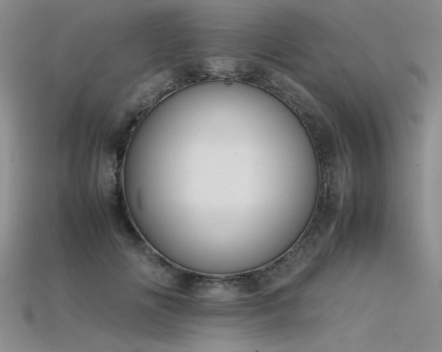X0000115740702200911121537