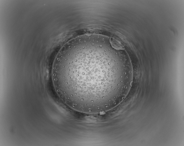 X0000115740703200911121537