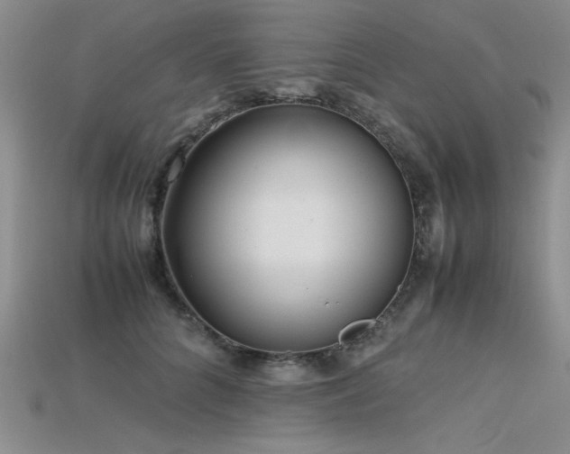 X0000115740704200911121537