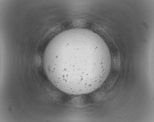 X0000115740705200911121537