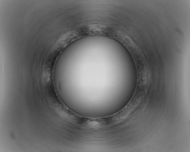 X0000115740706200911121537