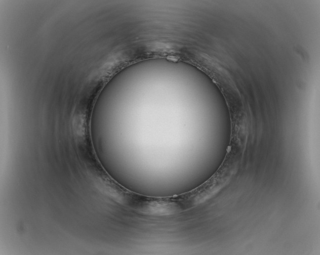 X0000115740708200911121537