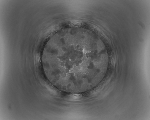 X0000115740711200911121537