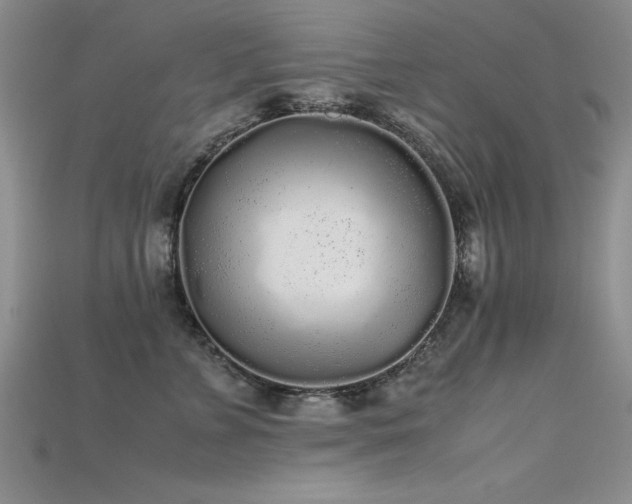 X0000115740715200911121537