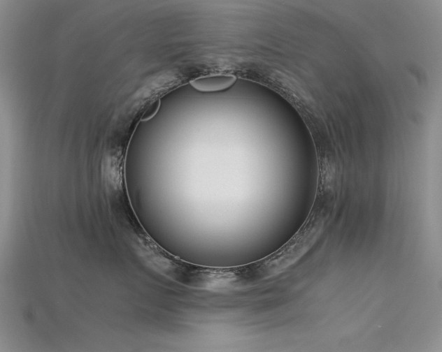 X0000115740719200911121537