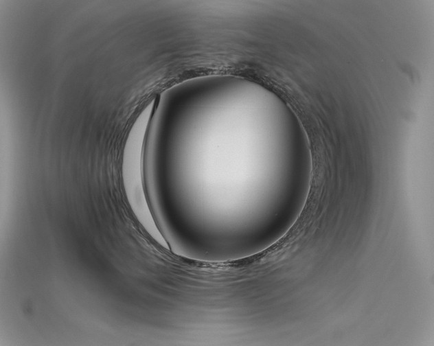 X0000115740720200911121537