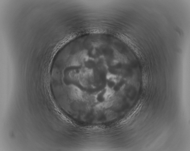 X0000115740721200911121537