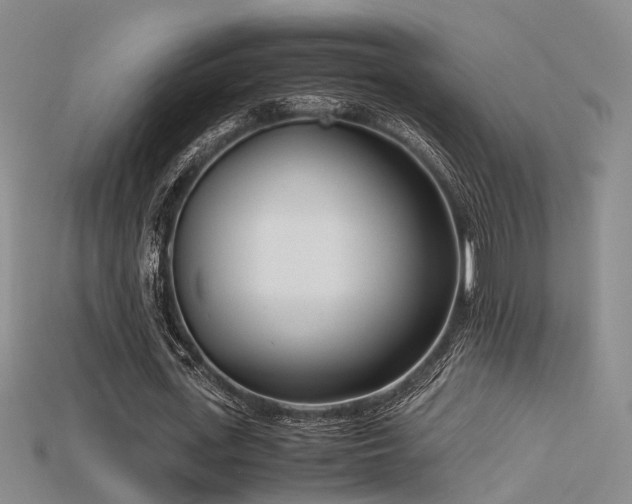 X0000115740723200911121537