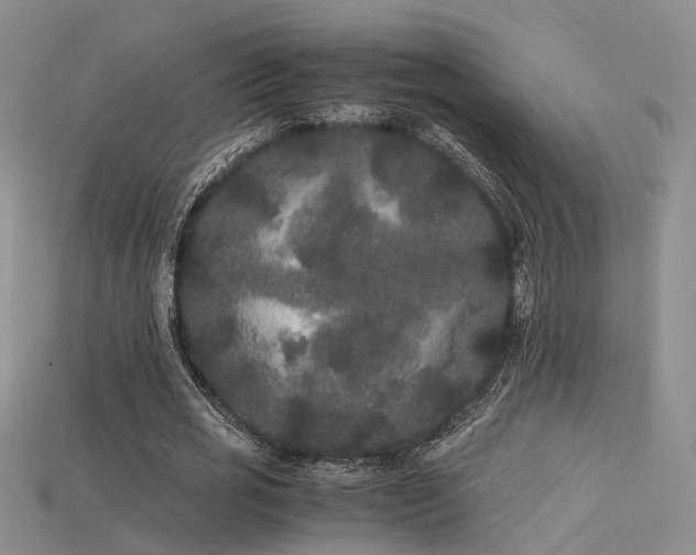 X0000115740725200911121537