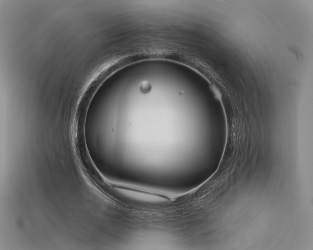 X0000115740726200911121537