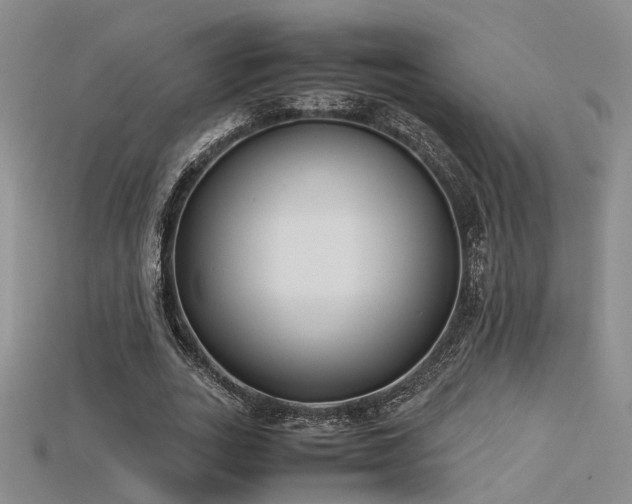 X0000115740727200911121537