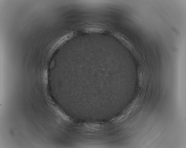 X0000115740729200911121537